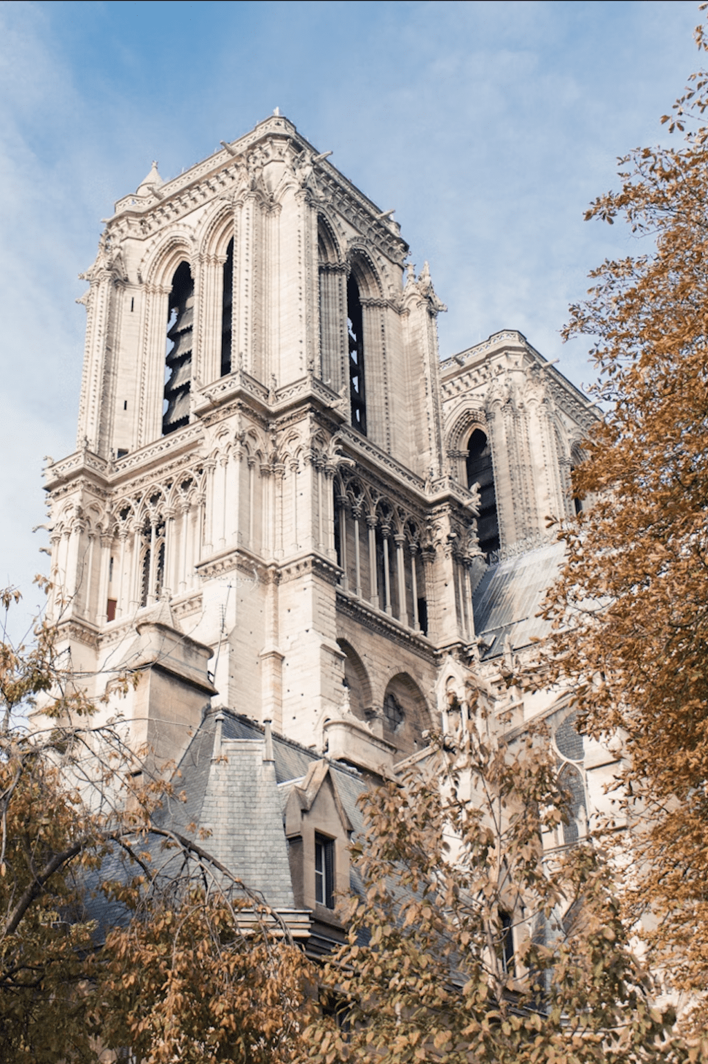 Exclusive cultural experiences in Paris